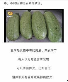 白瓜里可以放醋吃吗视频,白瓜搭配醋食用的健康益处揭秘  第2张