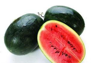 大杨哥和嘴哥吃哈密瓜视频,甜蜜瞬间尽收眼底