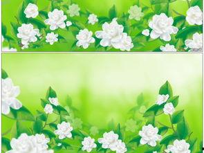 吃瓜樱花草视频大全下载,一键下载收藏  第2张