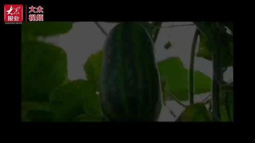 吃瓜视频致富吗,揭秘网络红人财富之路 第2张 吃瓜视频致富吗,揭秘网络红人财富之路 第2张