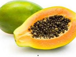 瓜哥吃木瓜籽视频大全,木瓜籽大揭秘，视频大全带你领略美味与营养