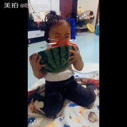 搞笑宝宝吃瓜视频大全集,搞笑宝宝吃瓜视频大盘点