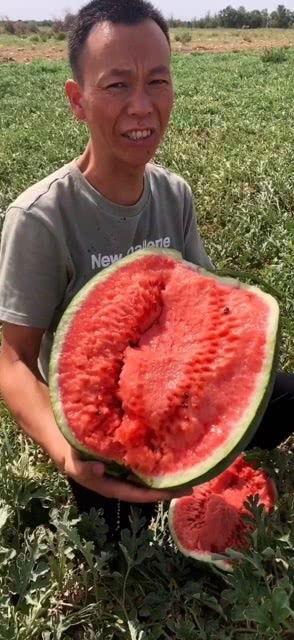 吃瓜视频色,一场视觉盛宴背后的色香味  第2张