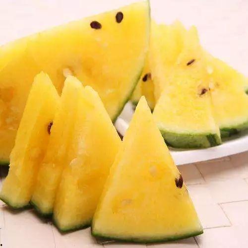 小青蓝瓜咋吃最好吃视频,视频教你如何吃出最佳口感 第3张 小青蓝瓜咋吃最好吃视频,视频教你如何吃出最佳口感 第3张