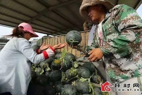 开封吃瓜群众事件视频,一场网络舆论的风暴与反思  第2张