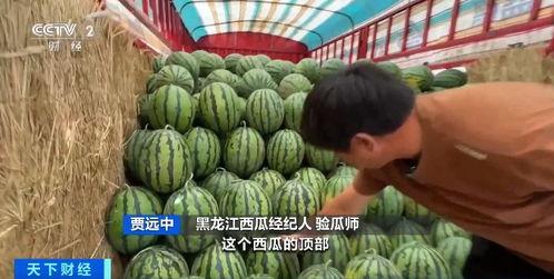 小杨哥楼顶吃瓜视频,揭秘网红生活幕后真相 第2张 小杨哥楼顶吃瓜视频,揭秘网红生活幕后真相 第2张