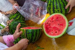 四大吃瓜视频大全,揭秘娱乐圈幕后故事  第2张