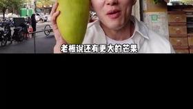 阿瓜吃奇怪的东西视频