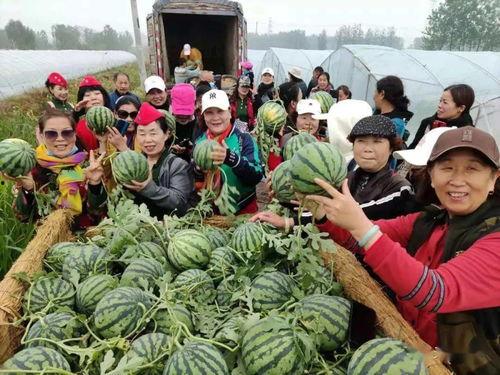 睢宁吃瓜大王视频,揭秘网络红人的爆红之路  第3张