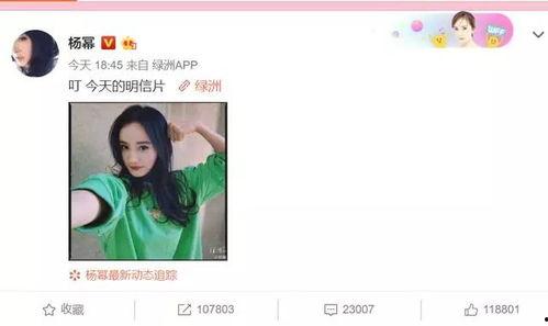 叔叔吃瓜视频在线播放免费,免费在线观看，畅享欢乐时光  第3张