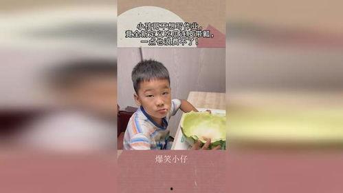 带你吃瓜搞笑写作业视频,轻松完成作业之旅  第2张