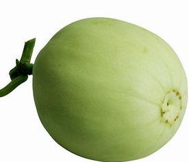 梨瓜软了可以吃吗视频,梨瓜软了还能吃吗？视频揭秘真相  第3张