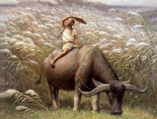 农村放牛吃瓜视频大全,农村放牛吃瓜欢乐时光大盘点  第2张