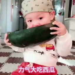 吃瓜吃果冻的视频大全