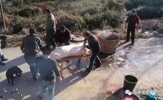 民间灵异事件吃瓜视频,吃瓜群众视角下的神秘现象 第2张 民间灵异事件吃瓜视频,吃瓜群众视角下的神秘现象 第2张