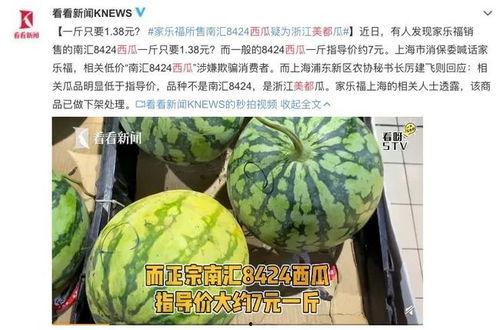 吃最贵的瓜视频