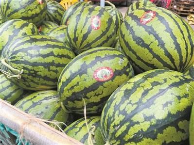 吃最贵的瓜视频 第3张 吃最贵的瓜视频 第3张