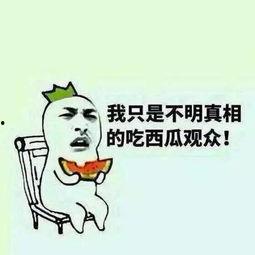 群众吃瓜打酱油视频,群众吃瓜打酱油，揭秘短视频背后的社会现象