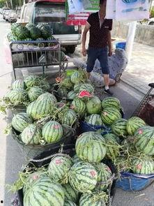 临沂万达吃瓜事件视频,一场网络热议的真相揭秘