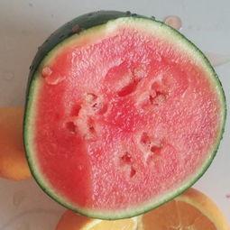 张凌赫吃瓜视频大全最新,盘点娱乐圈那些鲜为人知的幕后故事  第3张